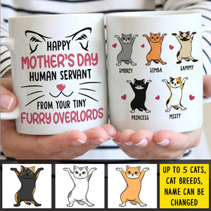 Happy Mother's Day Human Servant From Your Tiny Furry Overlord - Gift For Mother's Day - Personalized Mug.