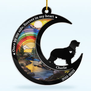 Miss You For The Rest Of My Life - Memorial Personalized Custom Ornament - Acrylic Custom Shaped - Christmas Gift, Sympathy Gift For Pet Owners, Pet Lovers