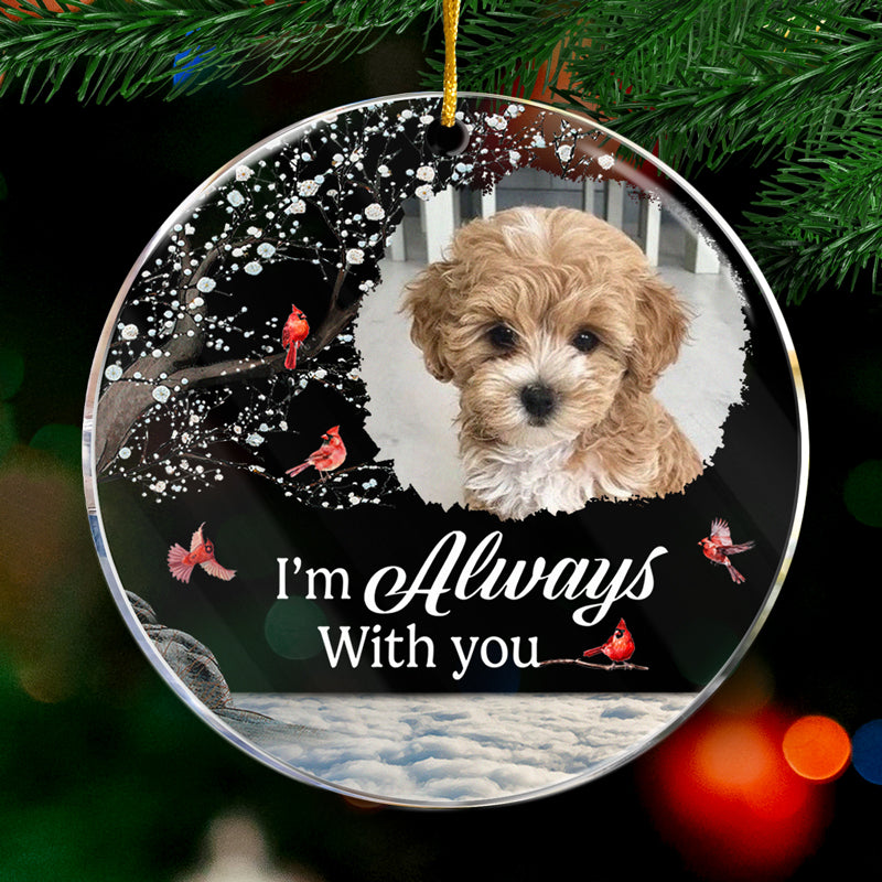 Custom Photo You Are My Best Memory - Family Personalized Custom Ornament - Acrylic Round Shaped - Christmas Gift, Sympathy Gift For Pet Owners, Pet Lovers